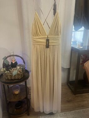 Criss Cross Spaghetti Strap Champagne gown NWT